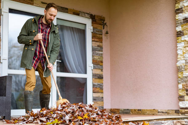 Best Basement Cleanout Services  in Roxborough Park, CO